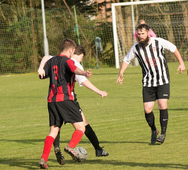 有意义的大 有意义的大