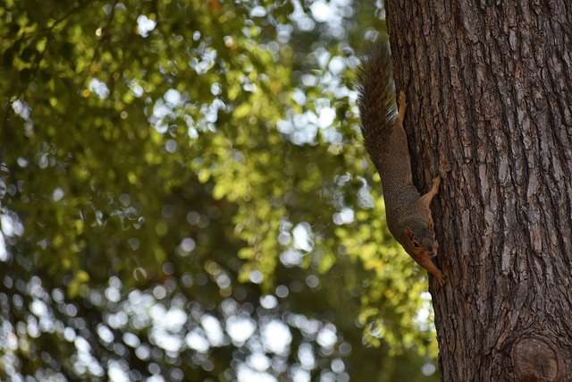 感情归属感 感情归属感
