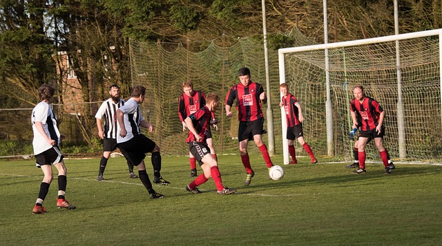 一张照片的 一张照片的