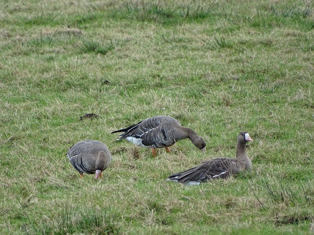 卓越的过程 卓越的过程