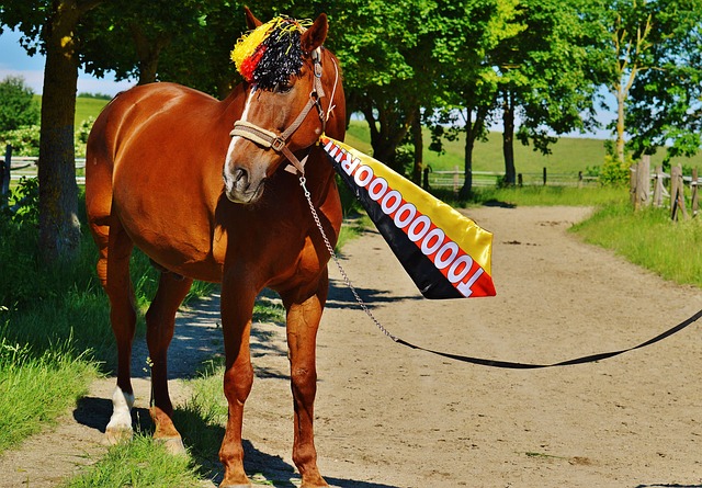 不懈努力 不懈努力