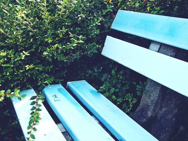 而他每天都 而他每天都