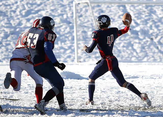 的防守坚韧 的防守坚韧